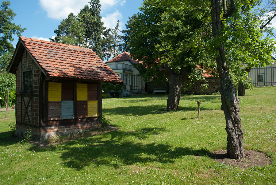 Aphorismen